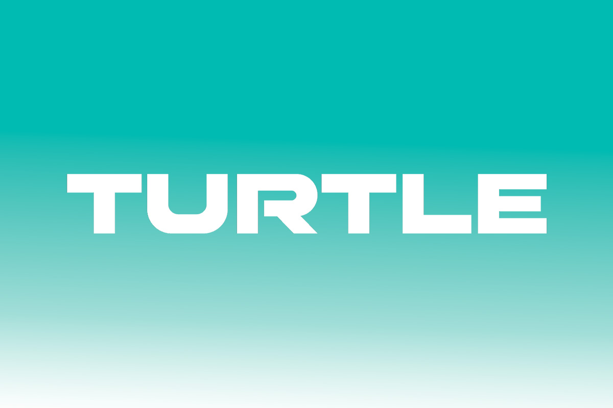 Turtle logo